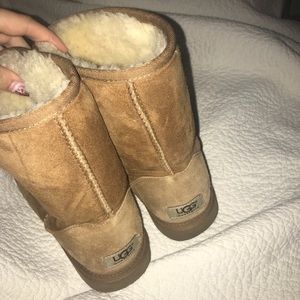 Tan uggs